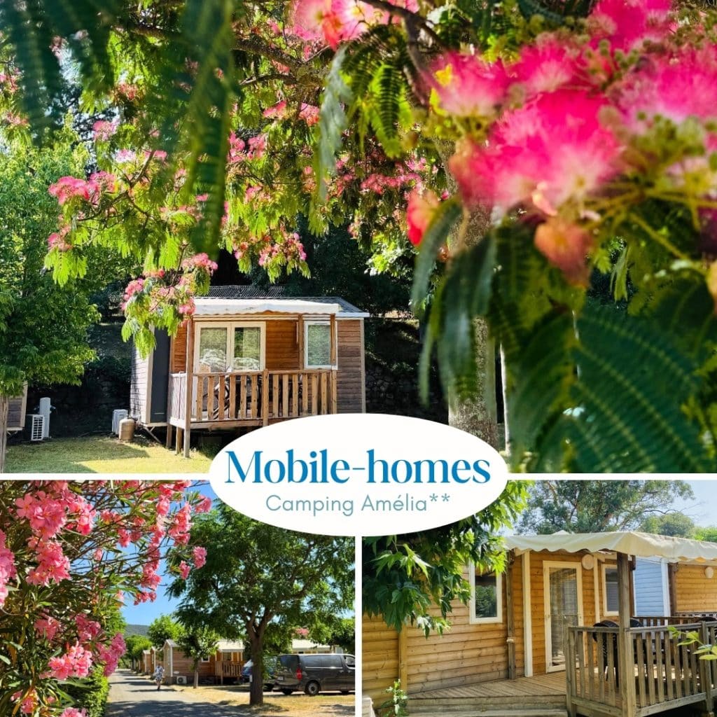 mobile homes - camping Amélia - Amélie-les-bains